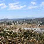 DSC_0118_00107 (June 24, 2023)